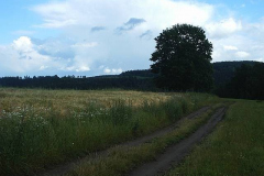 PIC_0184