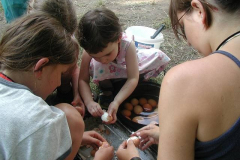 20060706161422-630