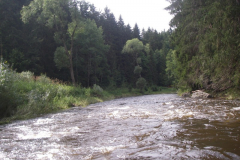 IMGP5599