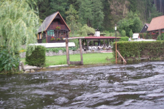 IMGP5643