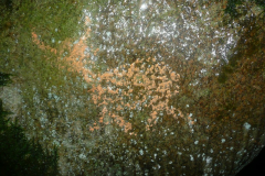 P1120877