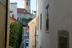 CIMG1024