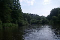 IMGP0254