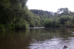 IMGP0259