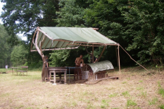 IMGP0260