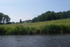 IMGP0267
