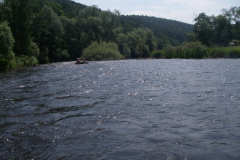IMGP0269