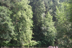 2012-07-01-15-07-35_00086