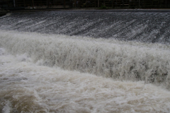 2012-07-03-14-07-52_00160