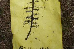 2013-07-12-10-07-01_00214