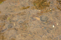 2014-07-03-11-20-08_00456