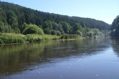2014-07-04-10-19-38_00125