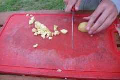 2014-07-09-17-11-38_00274