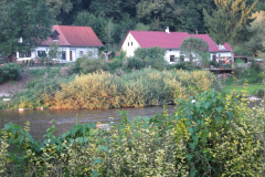IMG_0774