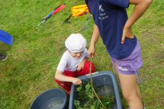 2016-07-04_10-06-45-00075