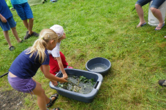 2016-07-04_10-08-37-00071