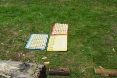 2016-07-04_17-26-12-00084