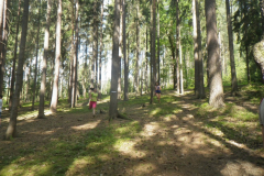 2016-07-07_10-02-50-00152