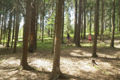 2016-07-07_14-38-04-00154