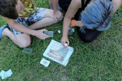 2016-07-07_18-09-09-00177