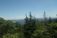 2016-07-10_12-58-33-00343