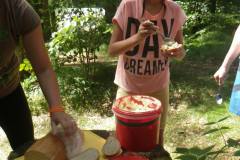 2016-07-11_12-37-12-00401