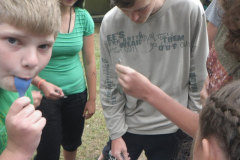 2016-07-15_16-20-12-00587