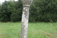 RIMG6176