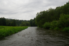 RIMG7051