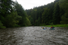 RIMG7061