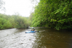 RIMG7063