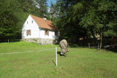 RIMG7077