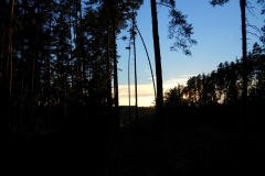 2016-08-22_18-08-36-00124