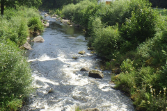 img-2018.07.07-10.54.21-00733