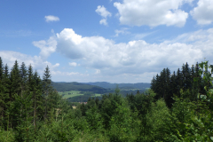 img-2018.07.07-13.03.36-00779