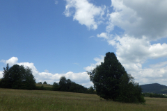 img-2018.07.07-13.12.38-00784