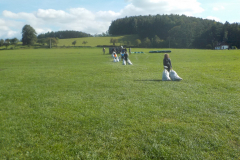 DSCN1761
