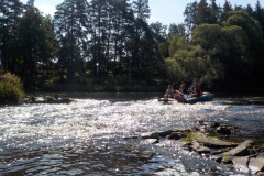 Image2019-07-03-09-07-34-0190