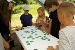 Image2019-07-04-10-07-12-0241