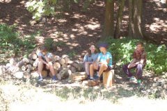 Image2019-07-04-11-07-24-0008