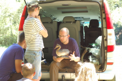Image2019-07-04-11-07-46-0011