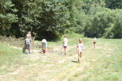 Image2019-07-04-12-07-23-0038
