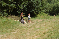 Image2019-07-04-12-07-49-0040