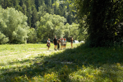 Image2019-07-04-14-07-05-0250