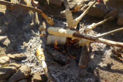 Image2019-07-04-17-07-49-0260