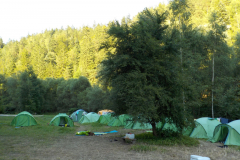 Image2019-07-04-19-07-12-0285