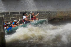 Image2019-07-05-12-07-26-0302