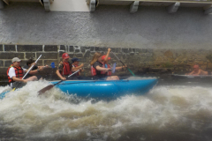 Image2019-07-05-12-07-59-0310