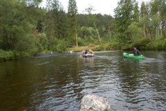Image2019-07-09-09-07-38-0447