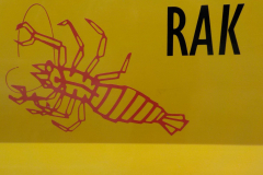 Image2019-07-09-15-07-39-0479